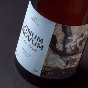 Vinum novum talha picture 2